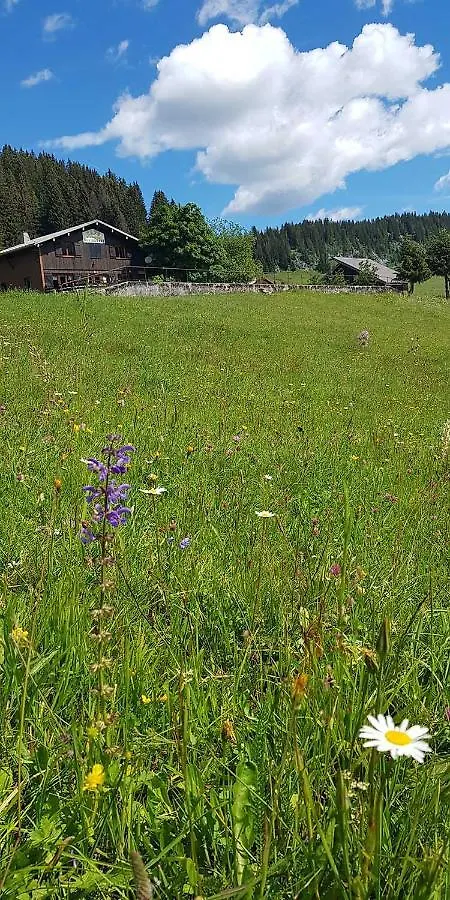 Gite Les Lanfiannes Thorens-Glieres France