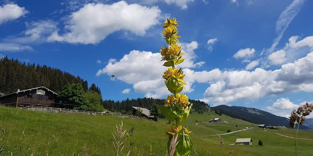 Gite Les Lanfiannes Thorens-Glieres