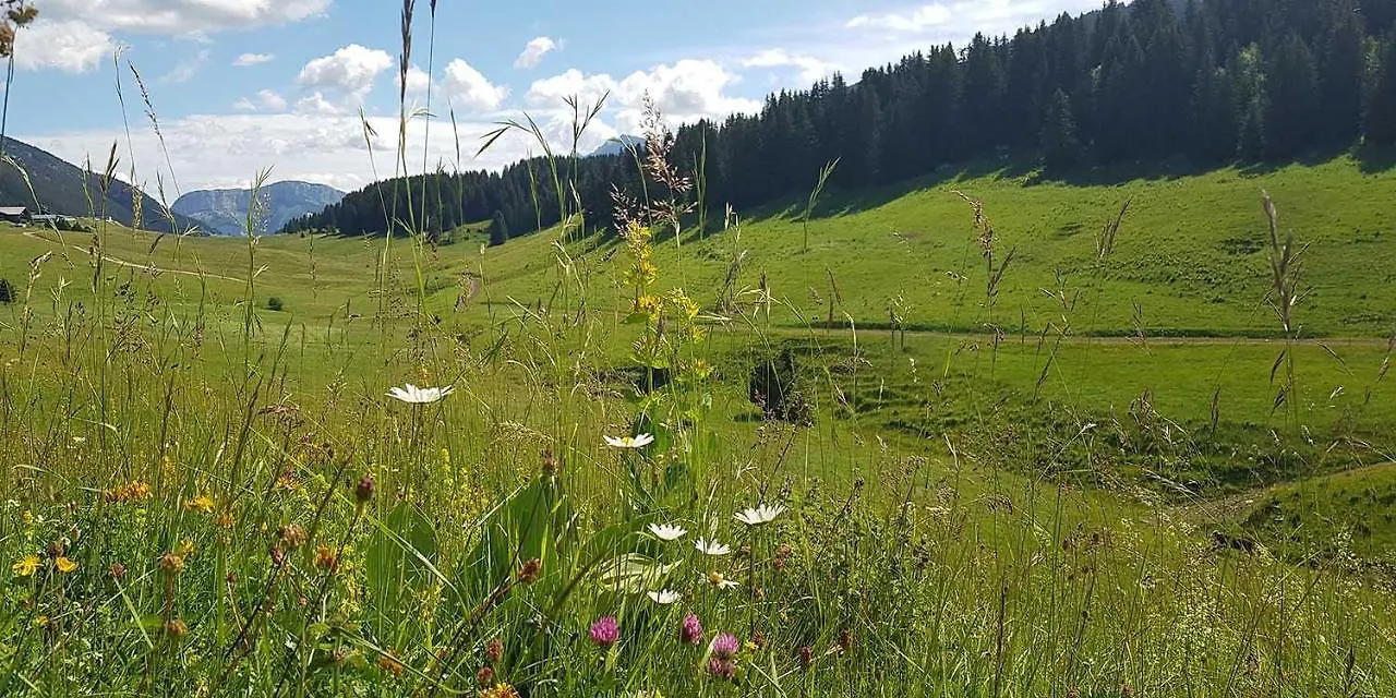 Gite Les Lanfiannes Thorens-Glieres Bed & Breakfast