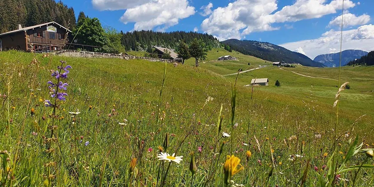 Gite Les Lanfiannes Thorens-Glieres