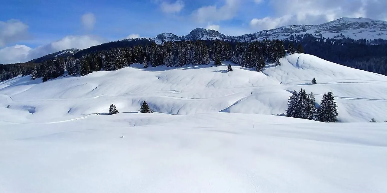 Gite Les Lanfiannes Thorens-Glieres Bed & Breakfast